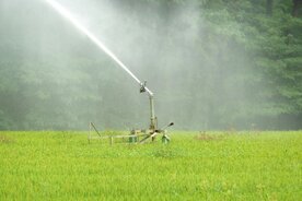 Bewässerung auf Reisfeld im Tessin