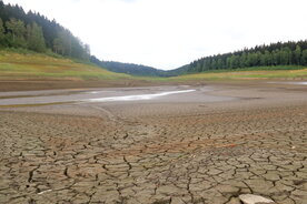 Ausgtrocknetes Flussbett in Waldlandschaft