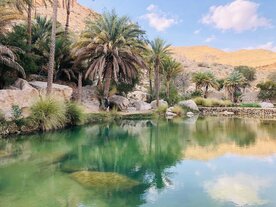Blick auf einen Wadi im Oman